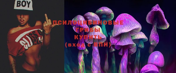 не бодяженный Беломорск