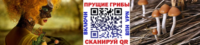 Псилоцибиновые грибы Magic Shrooms  Щигры 